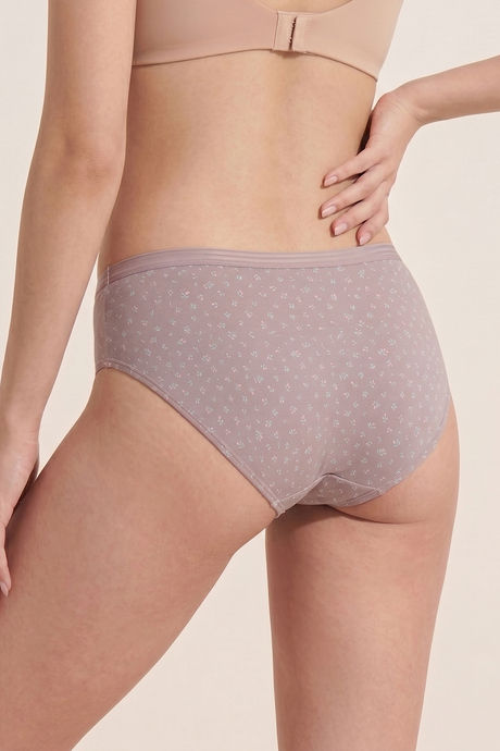 Zivame Regular Rise Full Coverage Hipster Panty (Pack of 3) - Multicolor — image 8